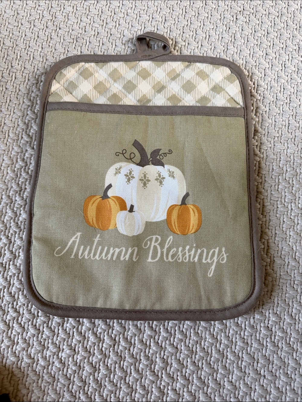 Autumn Blessings Pumpkin Quilted Pot Holder - Green & Orange